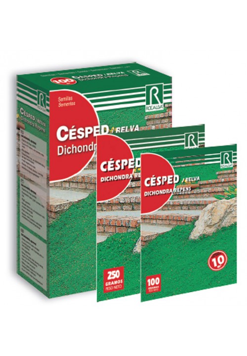 Mulch grüner Teppich-Dichondra Repens Rocalba 250 g