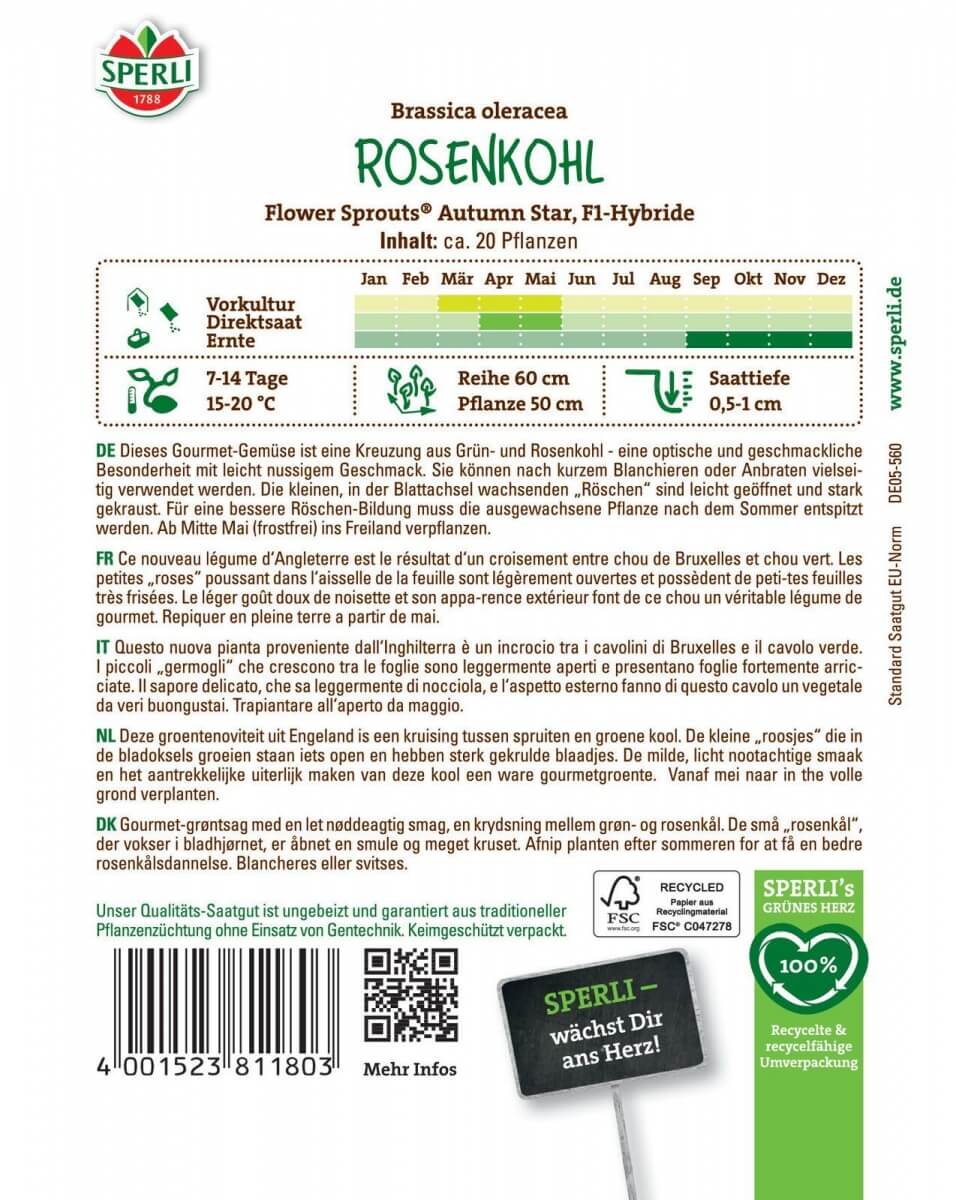 Gelockter Rosenkohl Autumn Star 20 Körner Sperli