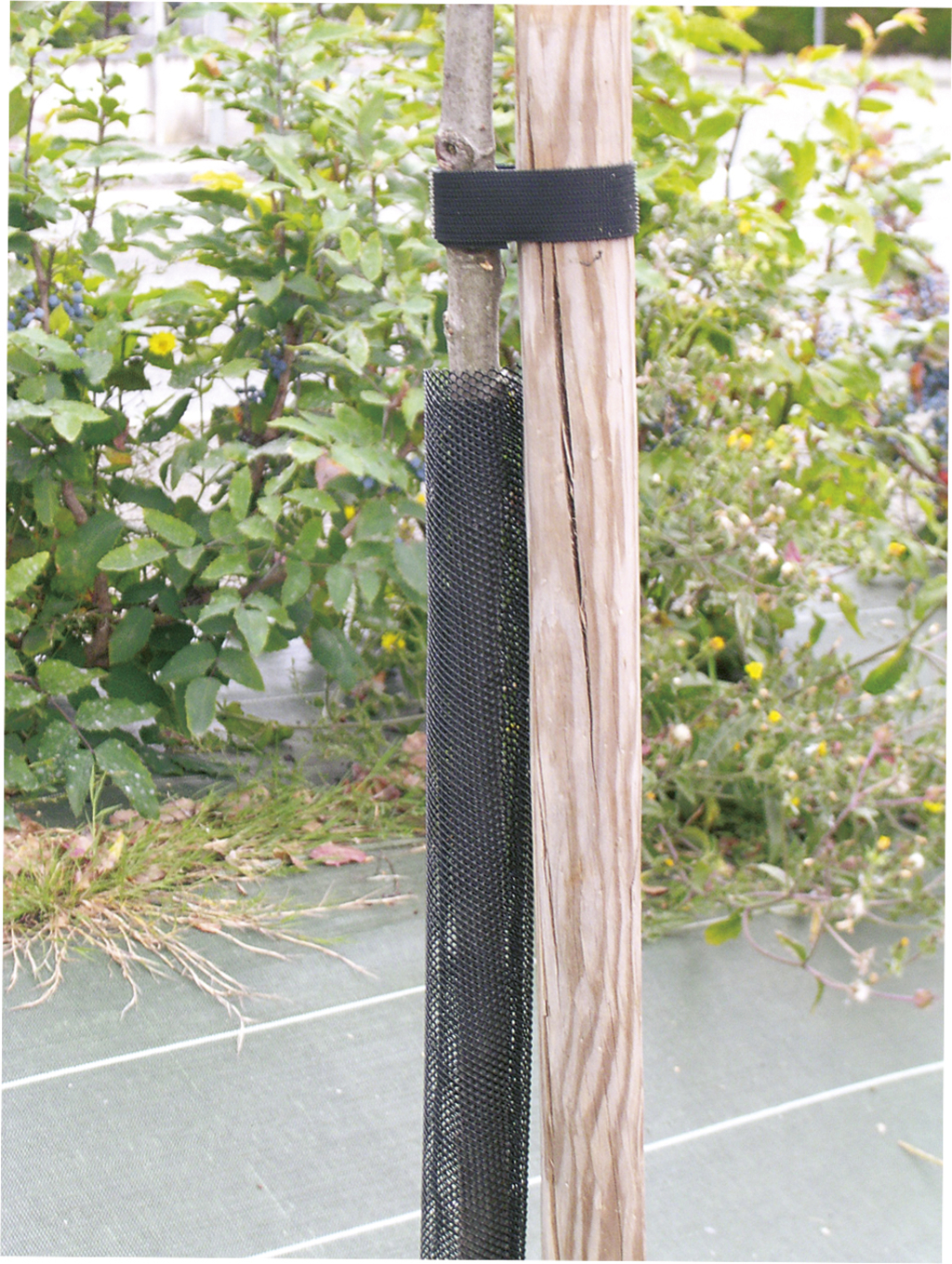 Baumschutzgitter Treex schwarz 110 cm (6 cm Durchmesser)