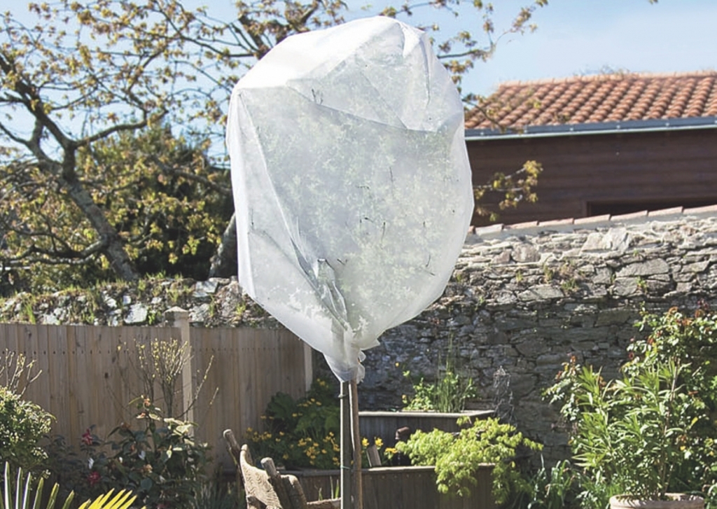 Überwinterungsfilz Wintertex 30 30g/m2 2x5 m