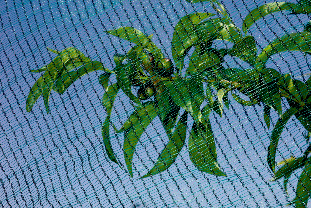 Eisschadenschutznetz Nort Hailnet grün-schwarz 3x10 m