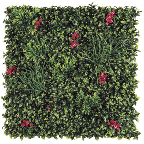 Grüne Wand mit Bougainvillea Blumen Vertikale Villa 1mx1m