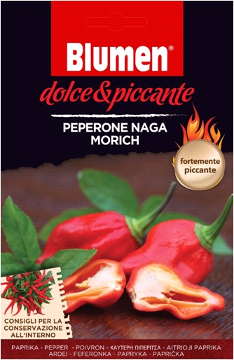 Naga morich pepperoni - sehr scharfe Blüten (ca. 10-20 Samen)