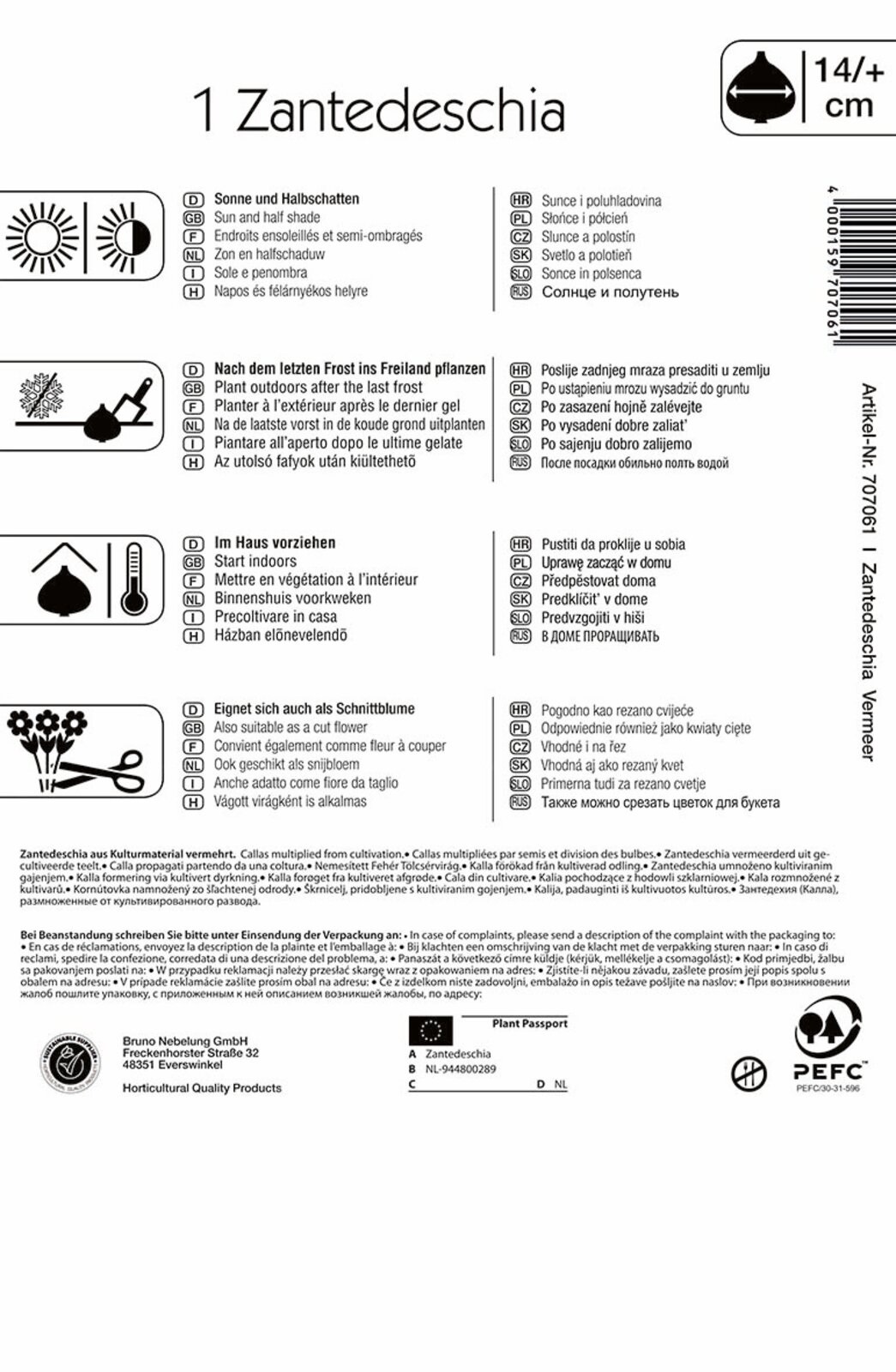 Virághagyma Kála (Zantedeschia) Vermeer (fehér-lila) Kiepenkerl 1 db