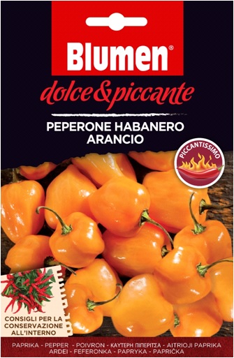 Orangefarbene Habanero-Paprika - extrem scharf Blumen (ca. 10-20 Samen)