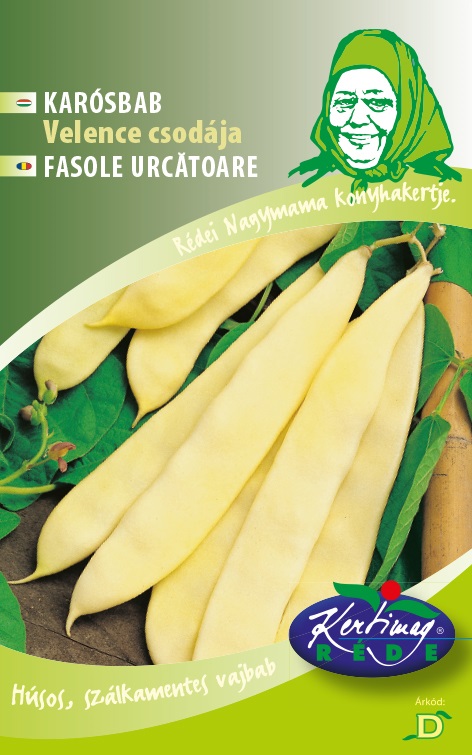 Gelbe Hülsenbohnen Venice's Wonder 30g