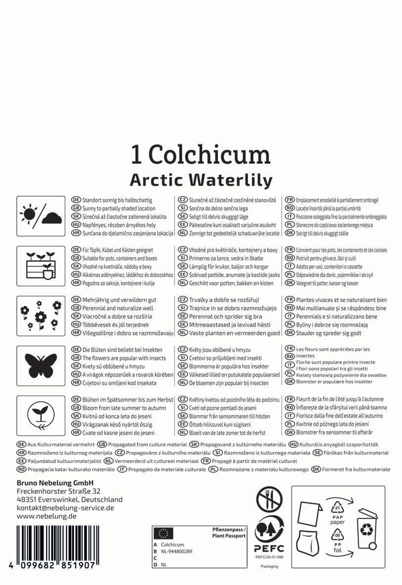 Bulb Chickweed (Colhicum) Arctic Waterlily Kiepenkerl 1 pc