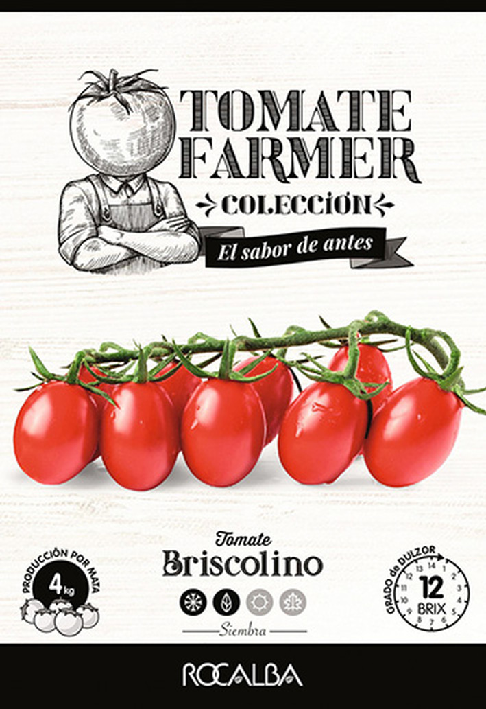 Kirschtomaten Briscolino (Landwirt) Rocalba 8 Körner