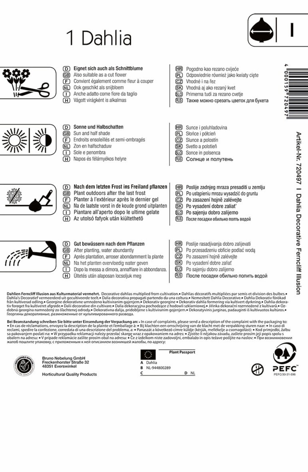 Blumenzwiebel Dahlia Ferncliff Illusion (weiß-lila-gelb) Kiepenkerl 1 Stück