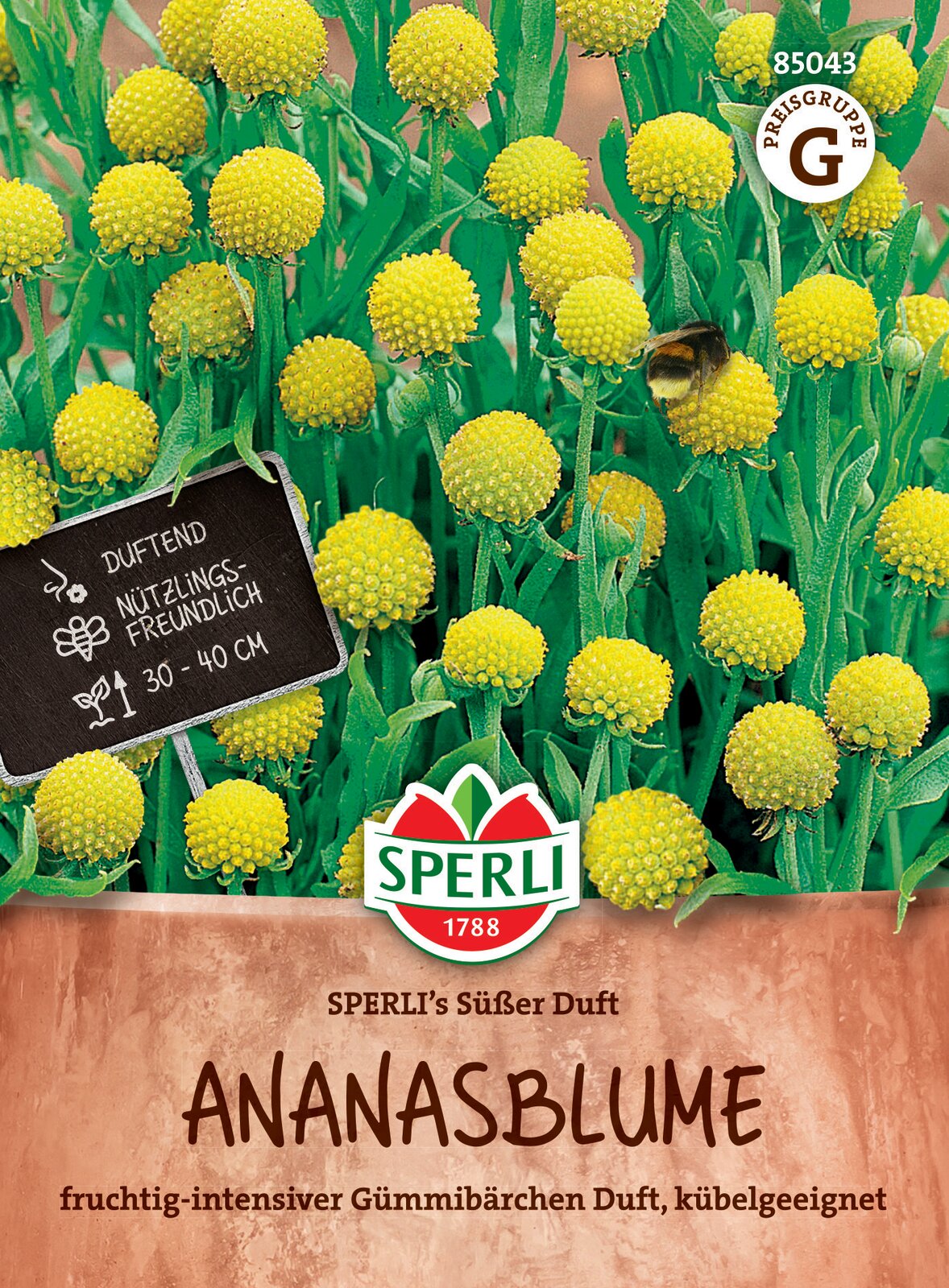 Ananasblüte (Gummibärchen) Süßer Duft (ca. 15 Samen) Sperber