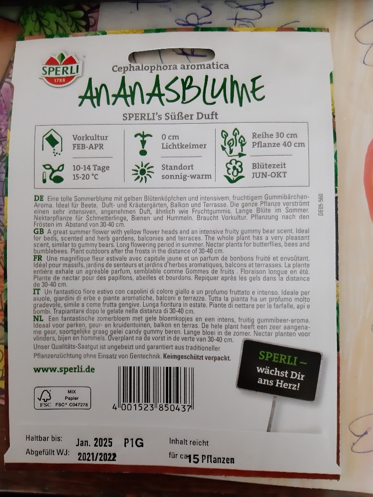 Ananasblüte (Gummibärchen) Süßer Duft (ca. 15 Samen) Sperber