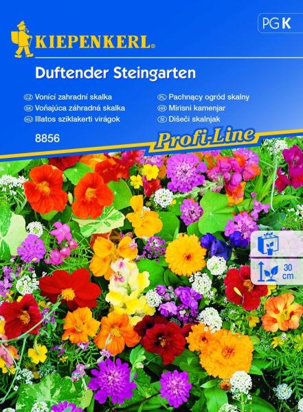 Duftende Steingartenblumen für 2-4 m2 Kiepenkerl
