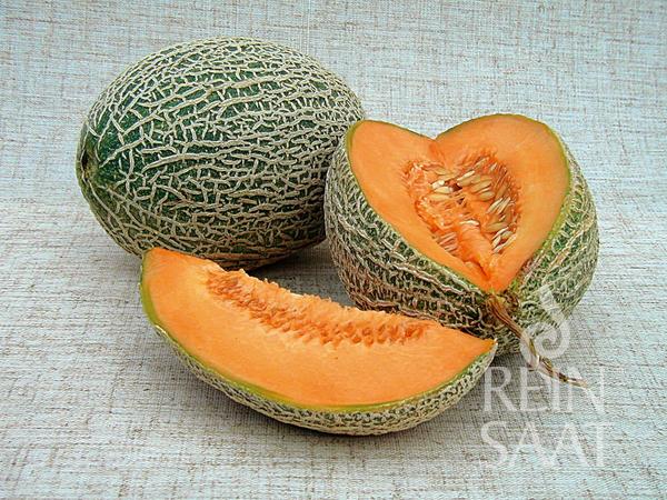 Cantaloupe Bio Best Jumbo Pure Seed ca. 25 Samen