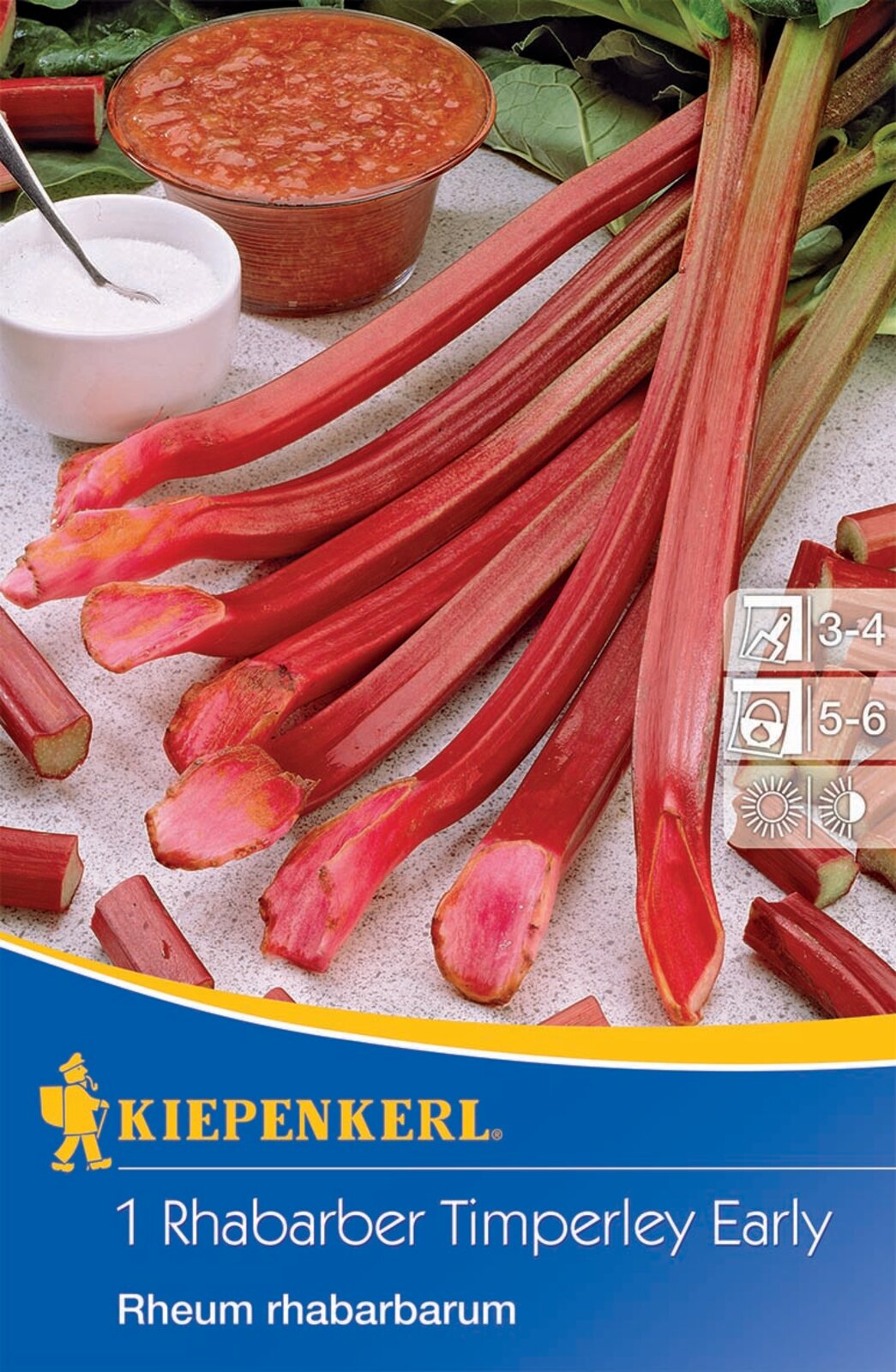 Rhubarb Timperley Early Kiepenkerl 1 plant