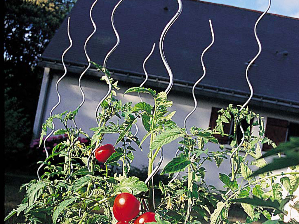 Tomatenspirale Tomatenstange Tomatenspirale 1,8 m