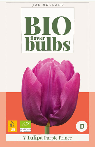 Virághagyma BIO Tulipán Purple Prince 7 db JUB