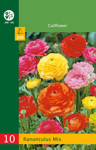 Bulb Buttercup (Ranunculus) Mix 10 pieces JUB