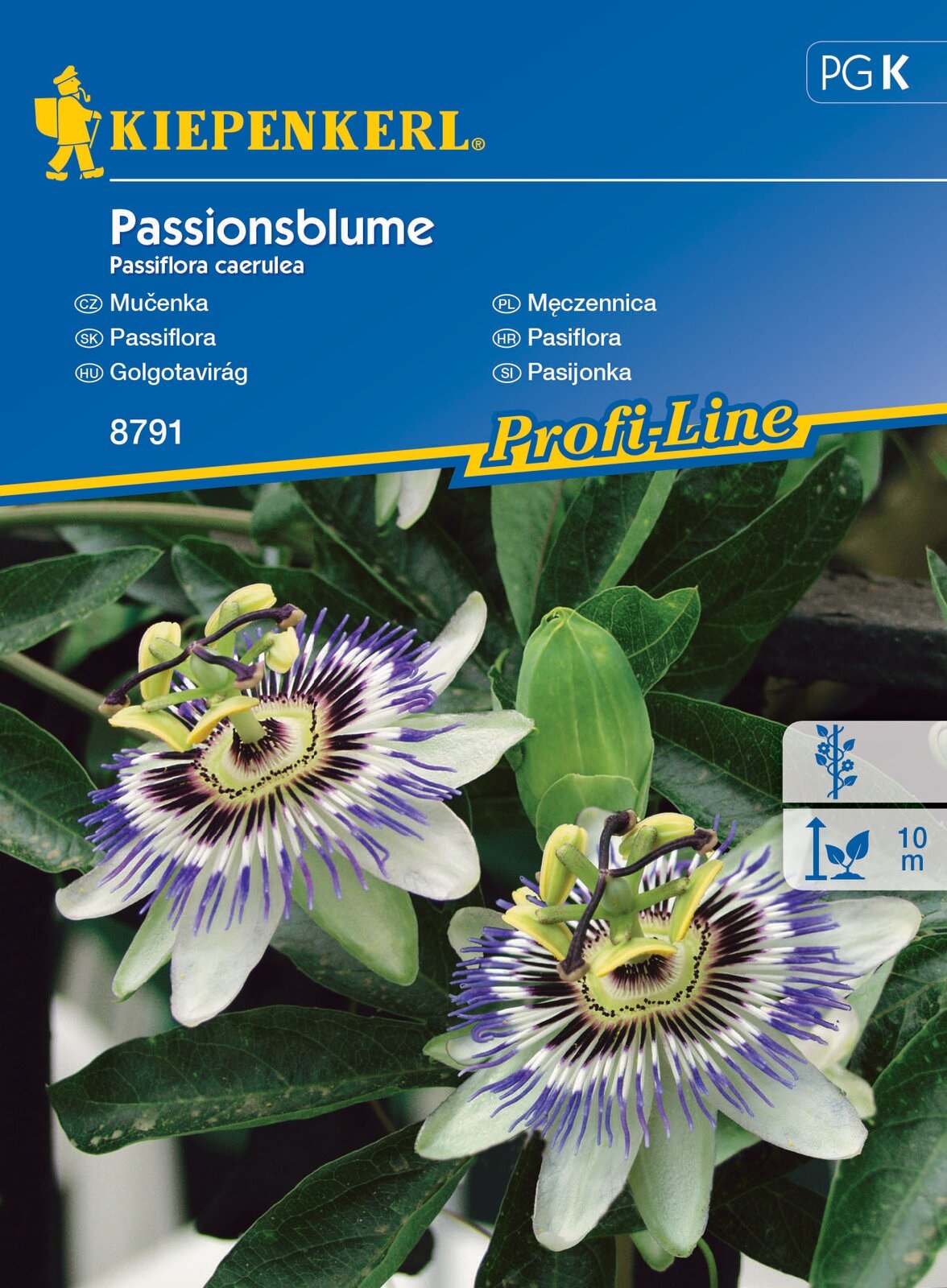 Passionsblume 20 Samen Kiepenkerl