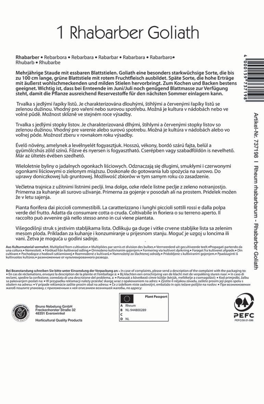 Rhabarber Goliath Kiepenkerl 1 Pflanze