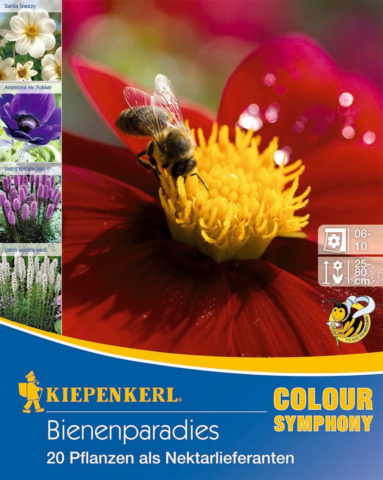 Blumenzwiebeln Bienenfuttermischung Kiepenkerl 20 Stück