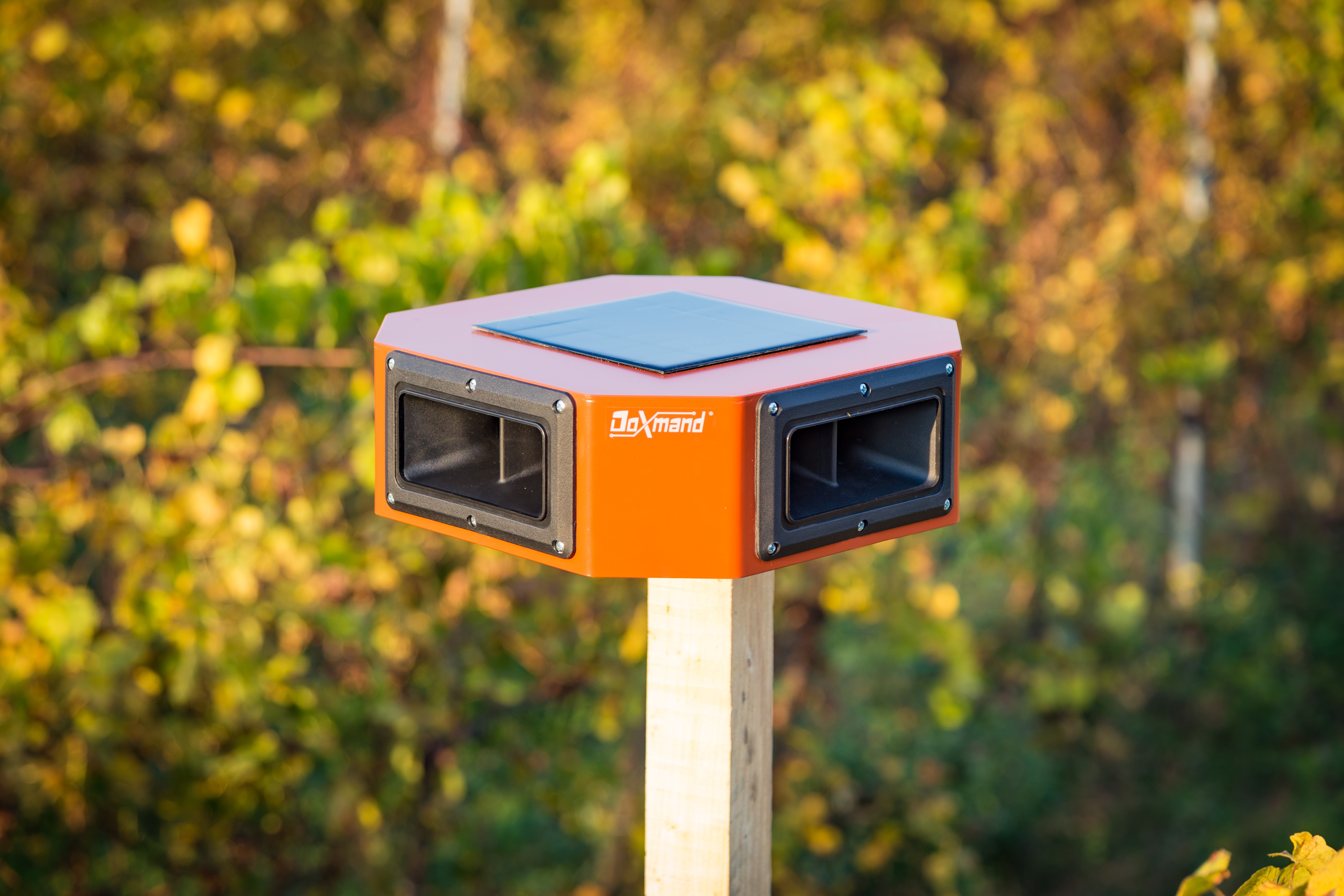 Doxmand SR4 Schorfbekämpfungsmittel