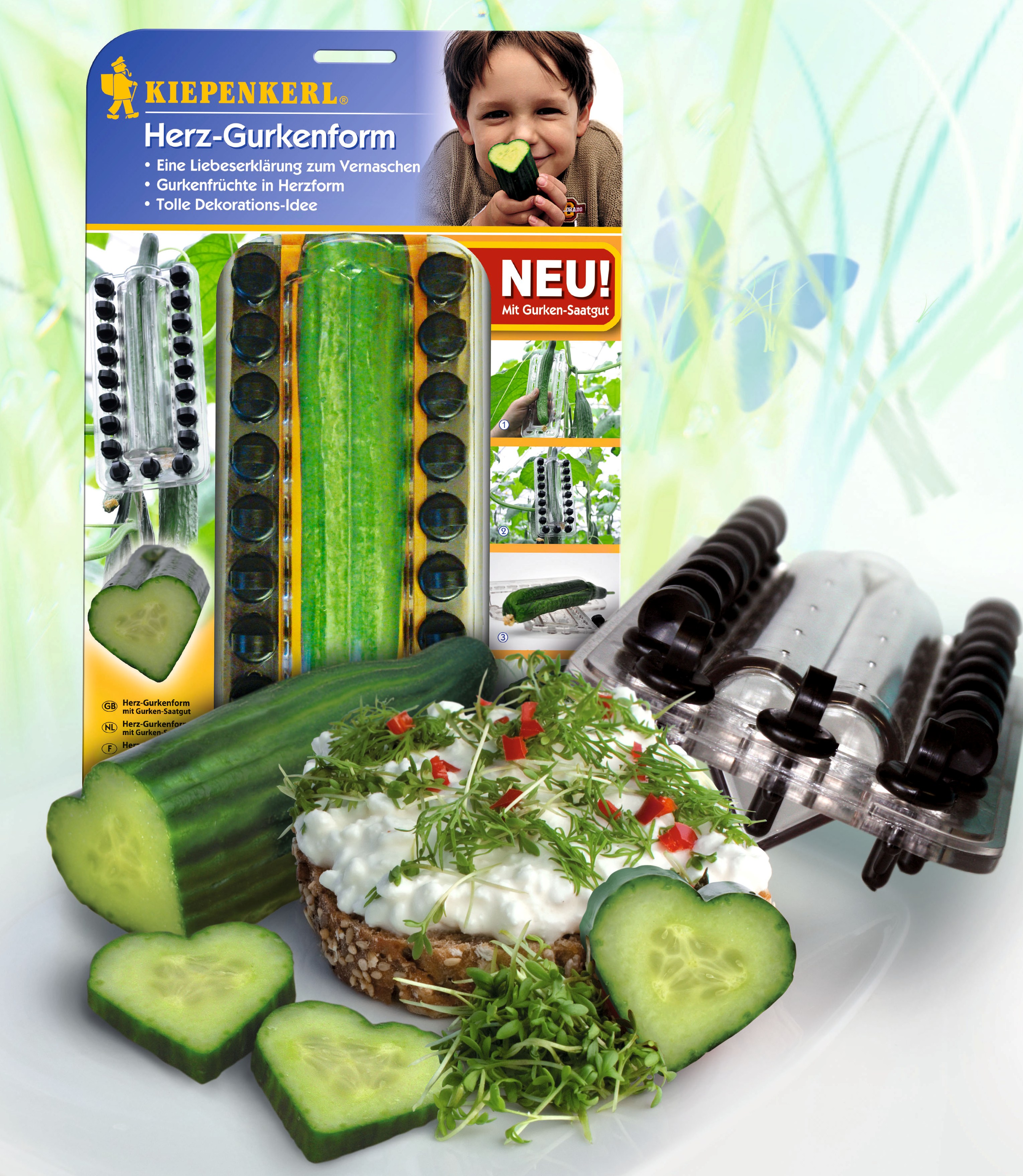 Cucumber shaper heart shaped, with seeds Kiepenkerl