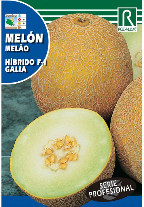 Cantaloupe Galia F1 (grünes Fruchtfleisch) Rocalba 0,5 g