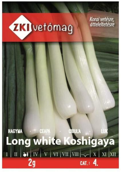 Winterzwiebel Lange weiße Koshigaya 2g ZKI