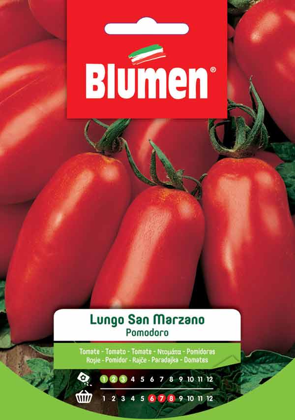 Tomate lang San Marzano Blumen 2 g