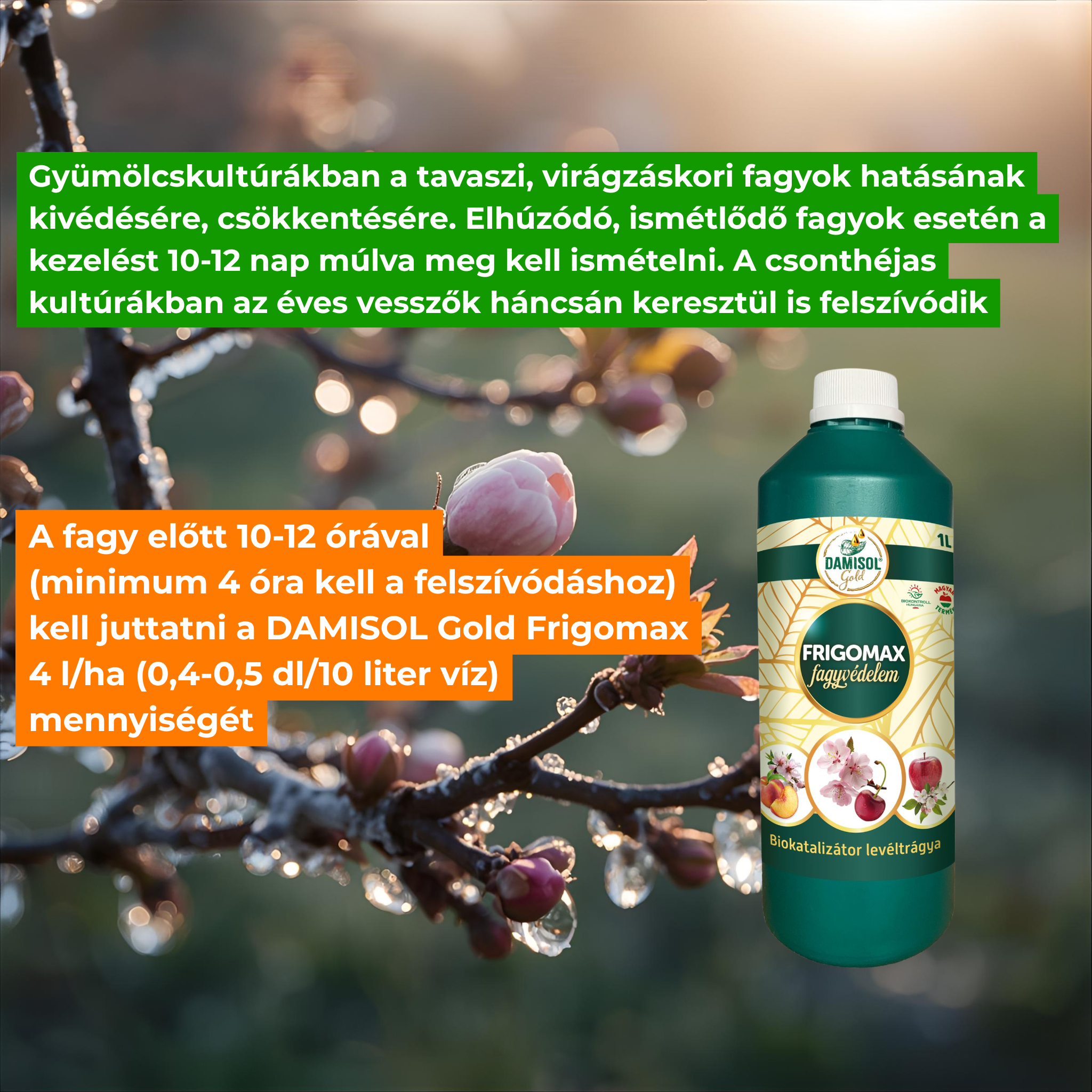 Damisol Gold Frigomax Frostschutz 1 l