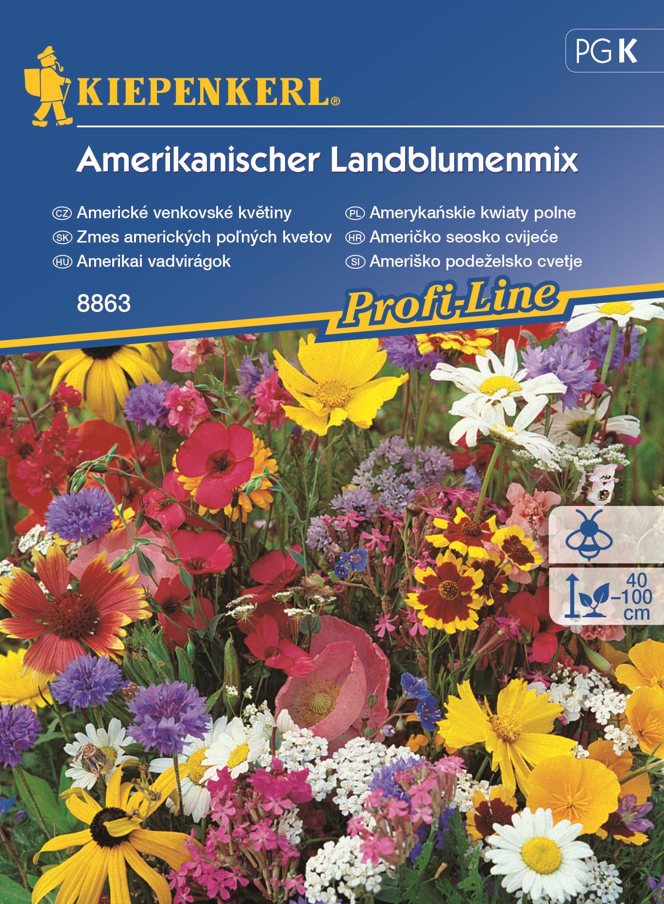 Amerikanische Wildblumenmischung Kiepenkerl für 5 m2