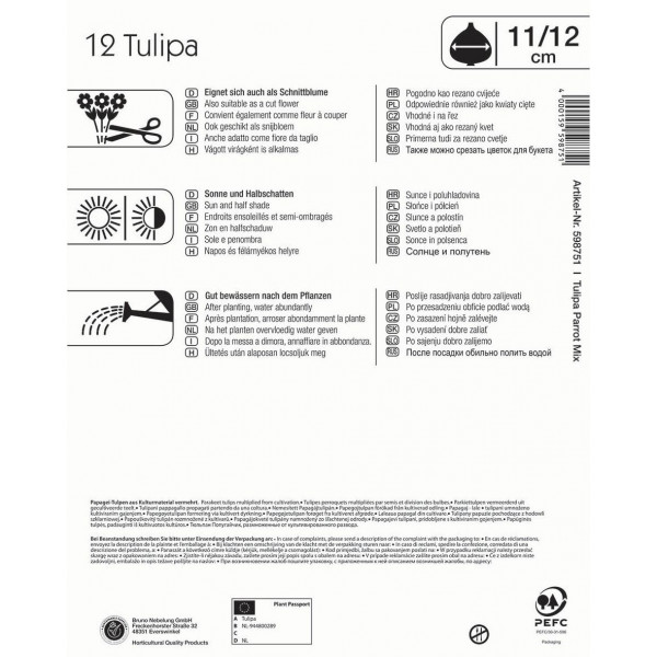 Zwiebel Tulpe Mega-Pack (Papageienblume) Farbmix Kiepenkerl 12 Stück