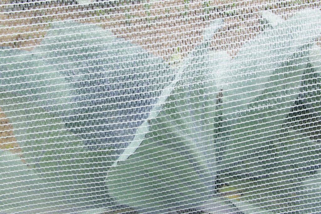 Insektenschutznetz Protec 4x6 m