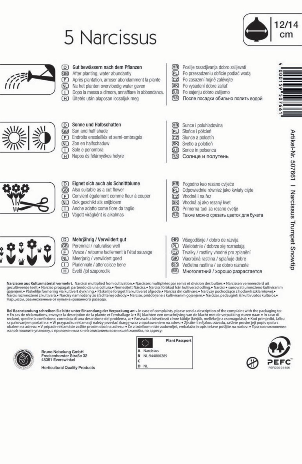 Zwiebeln Narcissus Snowtip Kiepenkerl 5 Stück