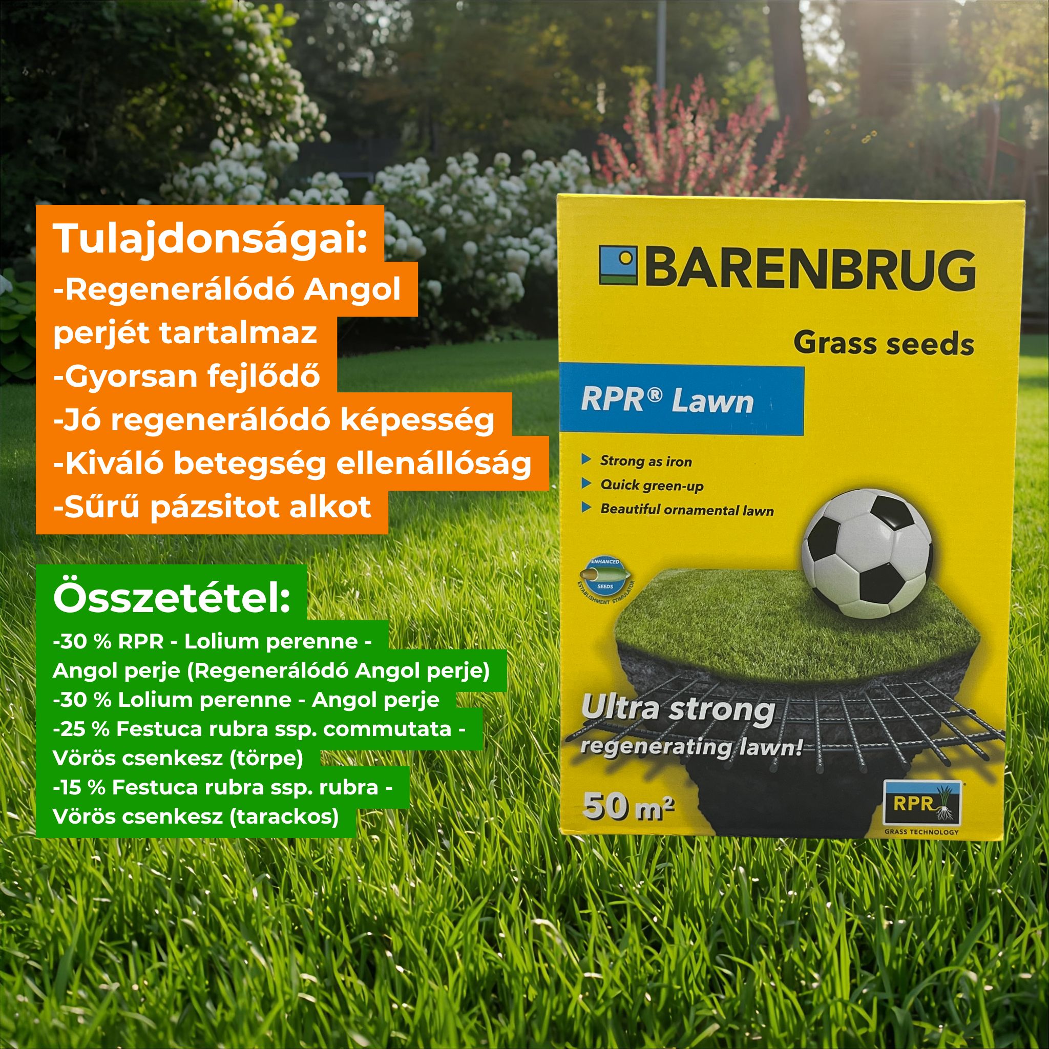 Grassamen Barenbrug Bar Power RPR (Sport) 1 kg