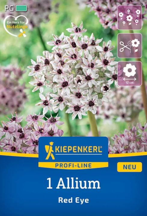 Bulb Ornamental Onion Red Eye Kiepenkerl 1 pc