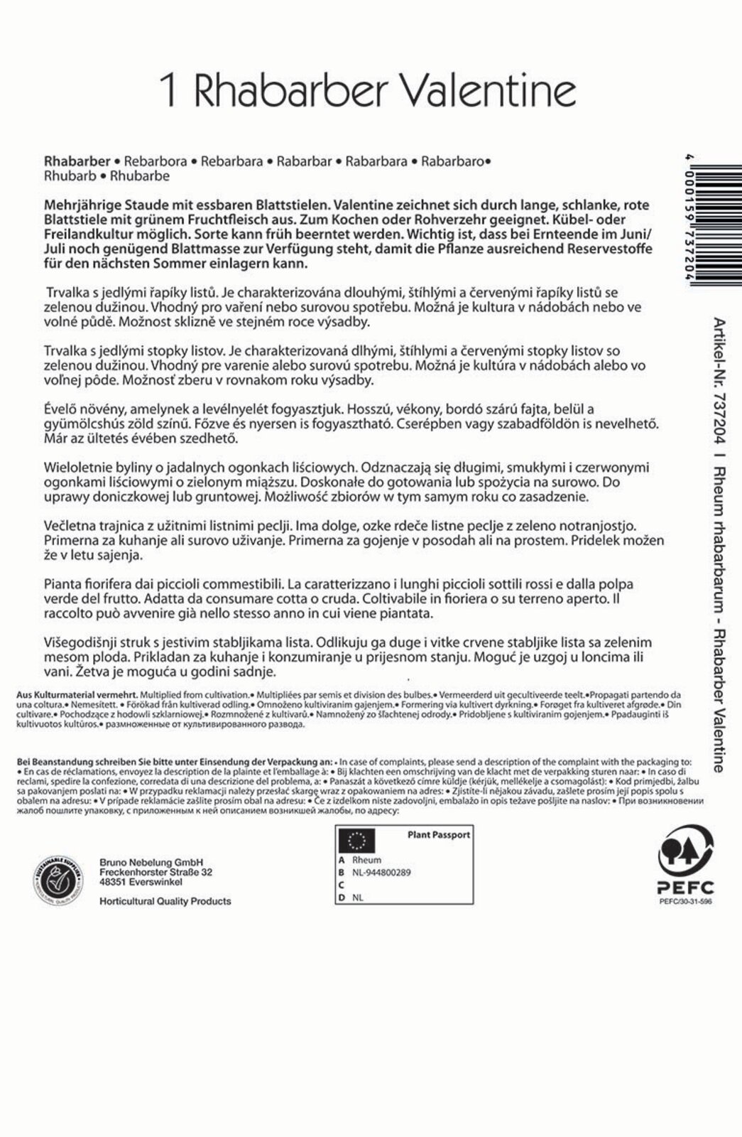 Rhubarb Valentine Kiepenkerl 1 plant